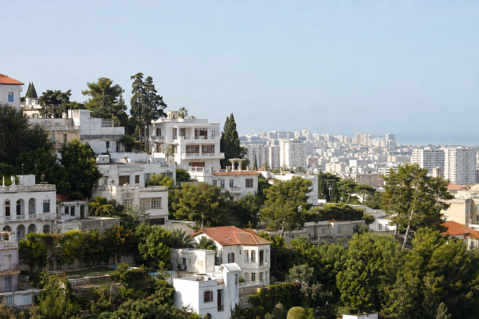 Begrünte Wohnlagen von El Mouradia mit weißen Häusern und Blick über Algier